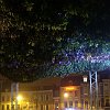 Foret suspendue47694